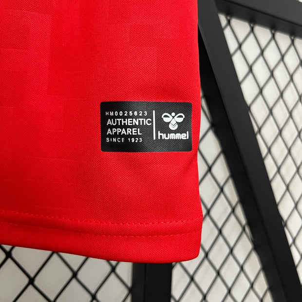 DENMARK 2024 HOME JERSEY| Footballshirt.online - Footballshirt.online