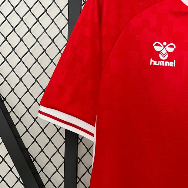DENMARK 2024 HOME JERSEY| Footballshirt.online - Footballshirt.online