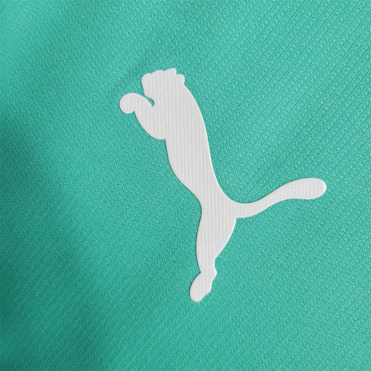 Palmeiras third away home retro shirt| Footballshirt.online - Footballshirt.online